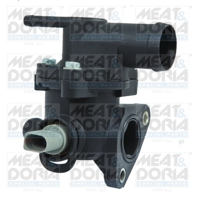 Thermostat, coolant